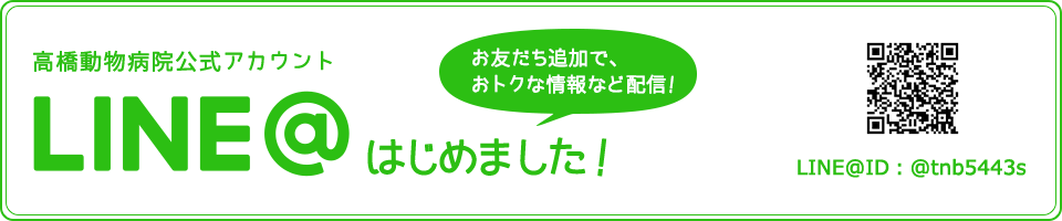 高橋動物病院公式アカウントLINE@はじめました！ LINE@ID：@tnb5443s お友達追加で、おトクな情報など配信！