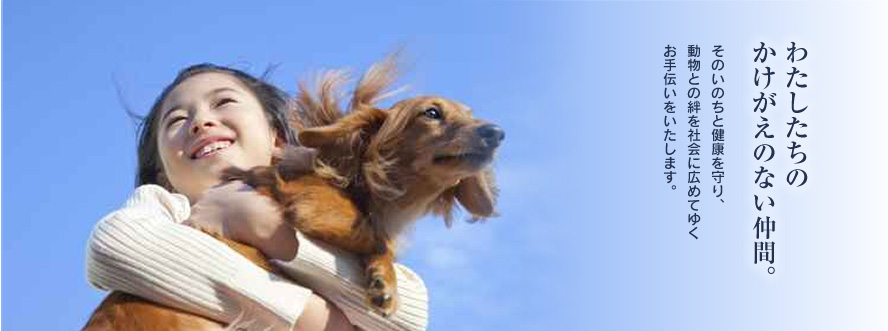 わたしたちのかけがえのない仲間。　そのいのちと健康を守り、動物との絆を社会に広めてゆくお手伝いをいたします。