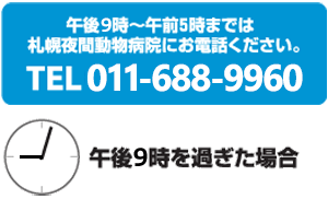 午後10時~午前5時までは札幌夜間動物病院にお電話ください。TEL011-688-9960